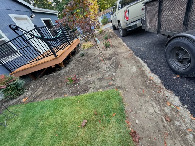 New bed shaped and planted along a deck, with a maple tree