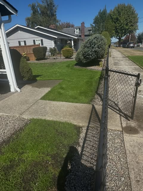 Neatly mowed front lawn with trimmed shrubs