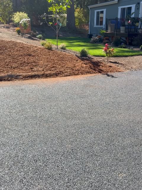 Fresh mulch bed with new trees and shrubs beside a green lawn
