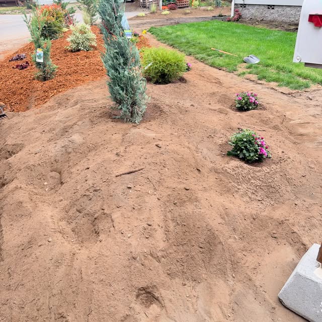 New conifers, shrubs and flowers planted in a freshly shaped bed
